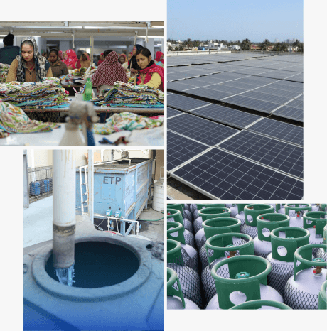 Responsibility Collage